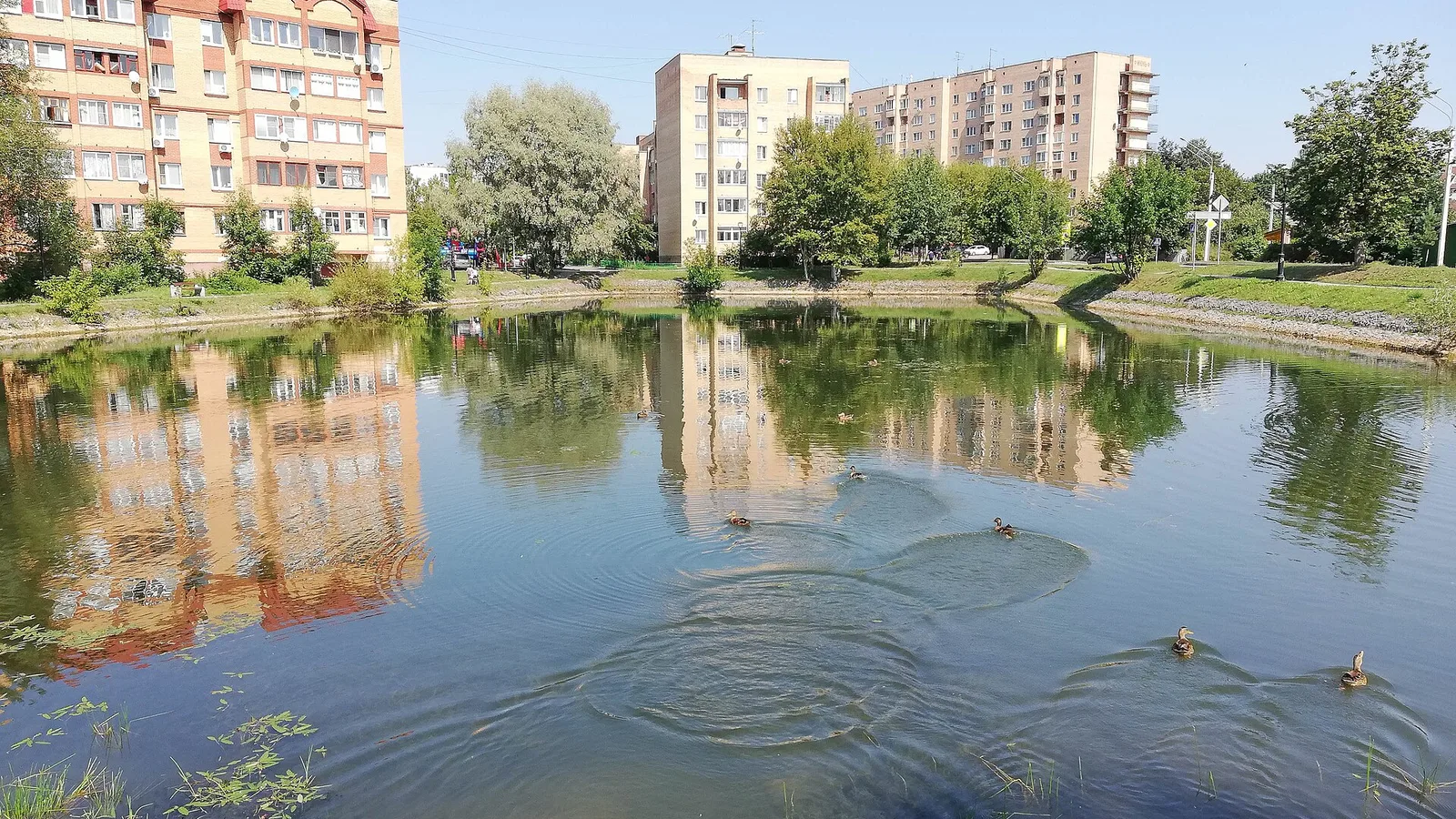 Городской пейзаж Истры